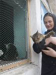 The Odesa's Women Monastery Rescue Cats Left Behind By Their Owners, Amid Russian Invasion Of Ukraine