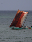 Traditional  Fishing Sailing Boat In Negombo
