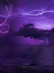 Lightning Strikes Over The Colombo Sea Area
