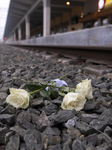 Train Crash Greece - White Flowers Were Left On The Rails For The Victims