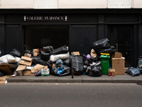 Garbage Collectors' Strike, Waste Accumulates In The Streets Of Paris