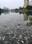 Environment Issue In Dhaka, Bangladesh