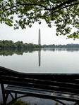 Climate Change Causes Tidal Basin Flooding