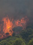 Wildfire In Western Attica