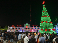 Cancun's Festive Sparkle Annual Christmas Tree Lighting