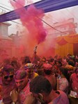 Holi Festival In India 