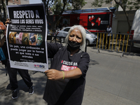 Animal Rights Groups Demonstrate Against Adolfo Gómez Hernández