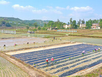 China Agriculture.