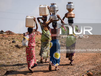 Women carry pitchers full of water which they have collected from a dry well, at Koli pada village in the western Indian state of Maharashtr...