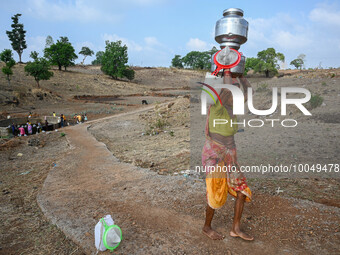 A woman carries pitchers full of water which she has collected from a dry well, at Koli pada village in the western Indian state of Maharash...