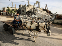 A Palestinian man rides his donkey cart past amidst the rubble of his house in Beit Lahia in the northern Gaza Strip, on May 16, 2023, follo...