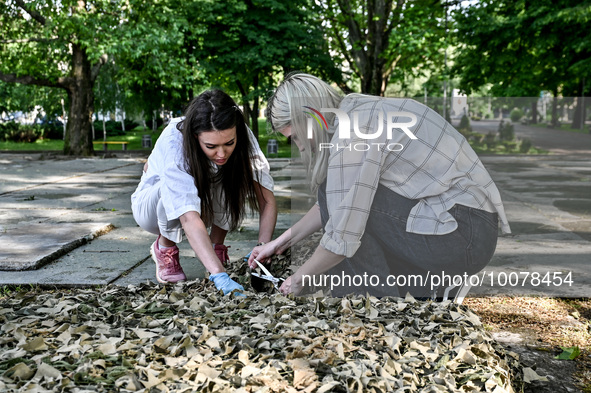 ZAPORIZHZHIA, UKRAINE - MAY 23, 2023 - Participants of the ''Flag of Memory'' action on the occasion of the Day of Heroes, Zaporizhzhia, sou...