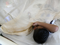 Bangladeshi child dengue patients covered with a mosquito net suffer from dengue fever as they receive treatment at a Hospital in Dhaka, Ban...