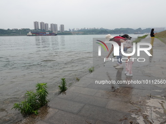  Water levels rise in the Yichang section of the Yangtze River in Yichang, Hubei province, China, June 2, 2023. The Yangtze River Basin has...