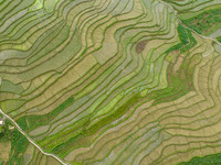 BIJIE, CHINA - JUNE 4, 2023 - Farmers work in terraced fields in Bijie, Southwest China's Guizhou province, June 4, 2023. (
