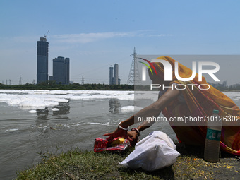 A woman collects her ritual items after performing a Hindu ritual on the banks of river Yamuna covered with toxic foam caused by industrial...