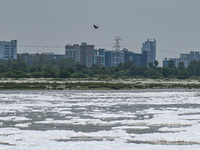 A landscape view of river Yamuna can be seen covered with toxic foam caused by industrial discharge, on the World Environment Day, in New De...