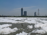 A landscape view of river Yamuna can be seen covered with toxic foam caused by industrial discharge, on the World Environment Day, in New De...