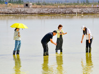 ORDOS, CHINA - JUNE 5, 2023 - Tourists visit Beidachi Salt Lake in Ordos city, Inner Mongolia Autonomous region, China, June 5, 2023. Beidac...