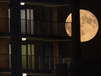 Colorful pink Strawberry moon illuminates the night sky behind balconies from houses. Close-up of the June full moon, nicknamed as Strawberr...