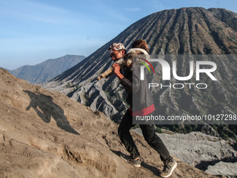 PROBOLINGGO, INDONESIA - JUNE 5: Tenggerese walk and hike carrying agricultural products and livestock to be sacrificed during the Yadnya Ka...