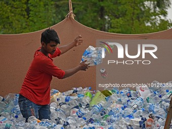 A scrap collector sort PET (polyethylene terephthalate) bottles at an open air storage area for plastic waste on the World Environment Day i...
