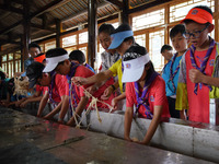 

Primary school students from Shanghai are experiencing ancient papermaking skills in Shiqiao Village, Nangao Township, Danzhai County, Qia...