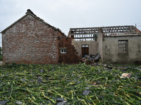 A general view of the disaster site where houses collapsed after a tornado in Dafeng district, Yancheng City, Jiangsu province, China, Augus...