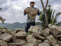 A man throws a big stone as he helps villagers to renovate a broken village road at Kebumen, Central Java, Indonesia on August 20, 2023.  (