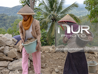 A woman carries a bucket of sand and stone as she helps villagers to renovate a broken village road at Kebumen, Central Java, Indonesia on A...
