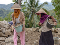 A woman carries a bucket of sand and stone as she helps villagers to renovate a broken village road at Kebumen, Central Java, Indonesia on A...
