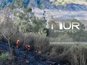 Some of officers shot water to the remaining fires on the slopes of the mountain that occurred since mid-August during the dry season in the...