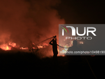 A peatland fire occurred on the side of the Palembang-Inderalaya toll road on Tuesday, September 12, 2023. (