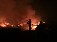 A peatland fire occurred on the side of the Palembang-Inderalaya toll road on Tuesday, September 12, 2023. (