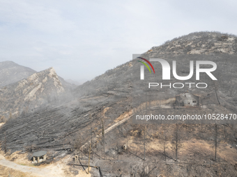 A drone image shows a view of the burned areas of land between the Dadia forest and the villages of Kirkis and Sykorrachis, Alexandroupolis,...