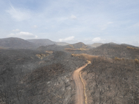 A drone image shows a view of the burned areas of land between the Dadia forest and the villages of Kirkis and Sykorrachis, Alexandroupolis,...