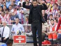 Atletico Madrid's Argentinian coach Diego Pablo Simeone, during their Spanish Liga's Primera Division match played against Malaga at Vicente...