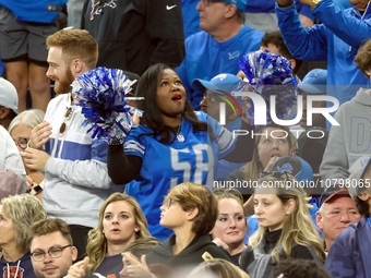 A fan celebrates in the stands after a touchdown and successful kick for the extra point during  an NFL  football game between the Detroit L...