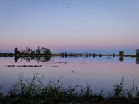 The sun rises over flooded California rice fields, during a storm break brought on by an atmospheric river near Marysville, Calif., on Sunda...