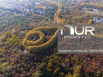 NANJING, CHINA - NOVEMBER 19, 2023 - Aerial photo shows the Meiling Palace at Zhongshan Mountain National Park in Nanjing, Jiangsu Province,...