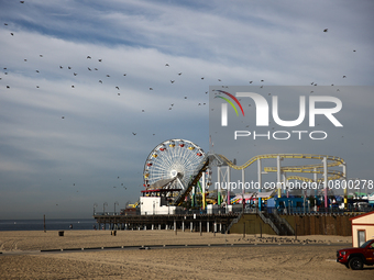 A view of the Pacific Park on the Santa Monica Pier and the beach in Santa Monica, United States on November 13, 2023. (
