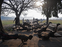 Indian army soldiers are exercising on the ground on a smoggy morning amid rising air pollution levels in Kolkata, India, on November 27, 20...