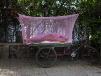 Lower-income individuals are sleeping inside a mosquito net on a van to protect themselves from dengue in Dhaka, Bangladesh, on December 4,...