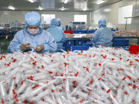 Workers are making medical infusion sets for export at a workshop in Huai'an City, Jiangsu Province, China, on December 14, 2023. (