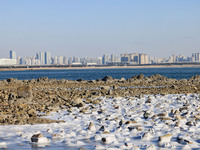 Sea ice and ice skin are wrapping the reef at Liansan Island scenic spot in the West Coast New Area of Qingdao, Shandong Province, China, on...
