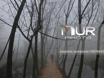 A man is walking in the interiors of Dal Lake amid a cold and foggy day in Srinagar, Kashmir, India, on December 26, 2023. The local weather...