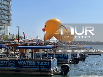 The world's largest rubber duck is returning to Toronto, Ontario, Canada, on September 16, 2023, as part of the Redpath Waterfront Festival....