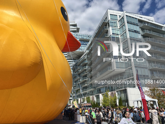 The world's largest rubber duck is returning to Toronto, Ontario, Canada, on September 16, 2023, as part of the Redpath Waterfront Festival....