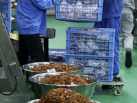 Workers are producing fish products at a workshop of a natural food company in Zixing, China, on January 4, 2024. (