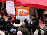 Job seekers are looking for suitable jobs at the 2024 job fair in Zaozhuang, East China's Shandong province, on January 17, 2024. (